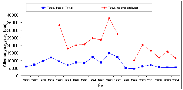 Partifecskék száma a Tiszán